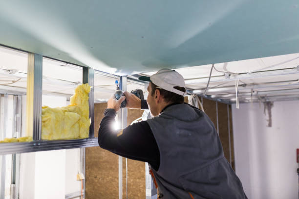 Best Commercial Insulation in Colon, MI