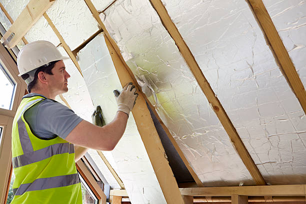 Best Cellulose Insulation in Colon, MI