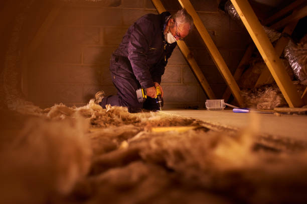 Best Energy Efficiency Insulation in Colon, MI
